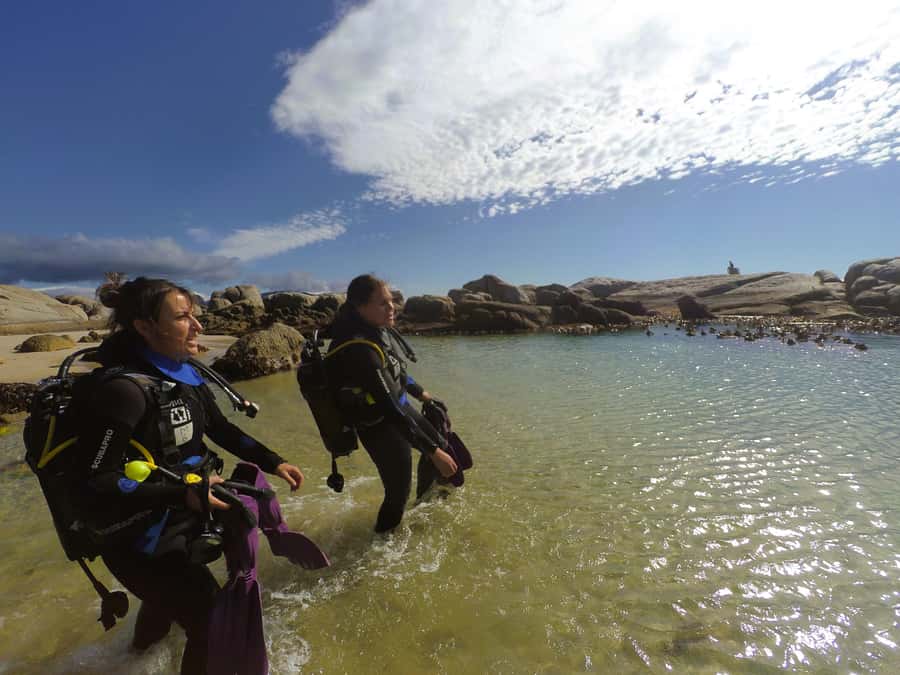 Cape Town: Scuba Diving Experience for Beginners - Spending 1.5 hours in the water