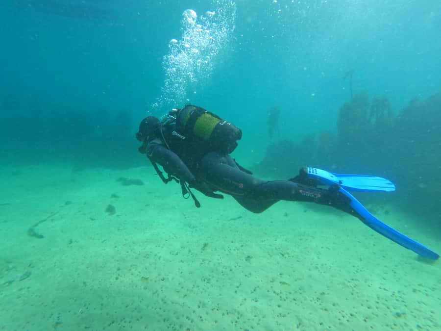Cape Town: Scuba Diving Experience for Beginners - The instructor makes the difference