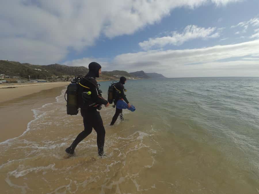 Cape Town: Scuba Diving Experience for Beginners - Why the 45-minute briefing matters