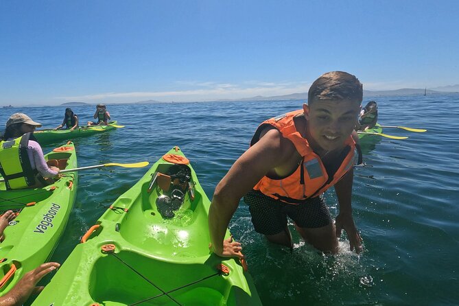 Cape Town Sea Kayaking Adventure launching from V&A Waterfront - Is $30.59 good value?