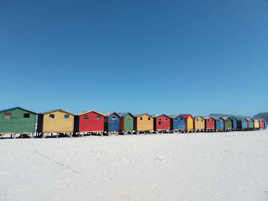 Cape Town: Seal Island, Cape of Good Hope& Penguins Private - Muizenberg’s colorful beach huts