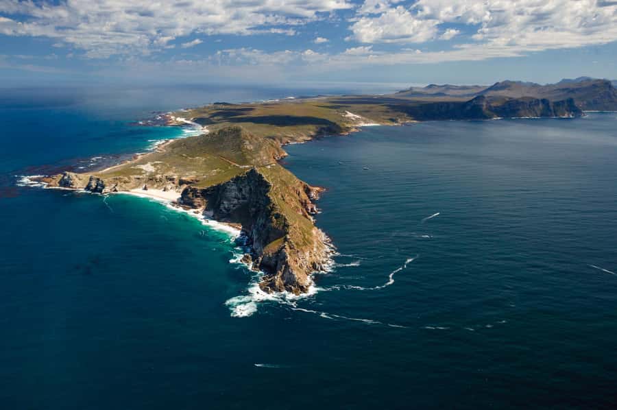 Cape Town: Shark Cage Dive - The timing problem you should plan around