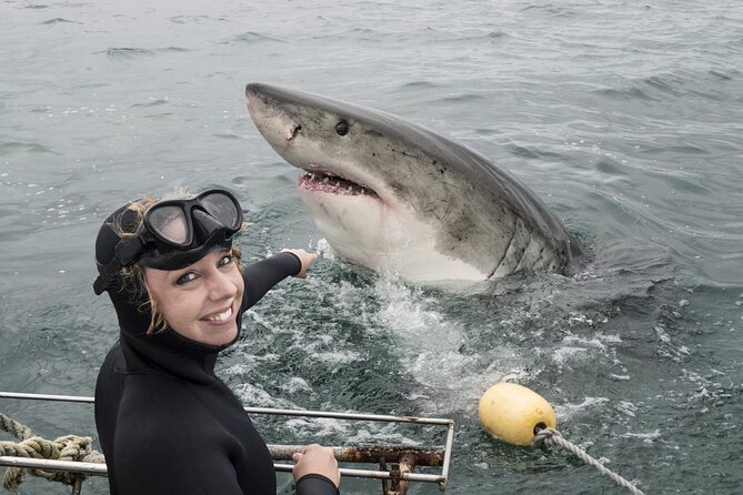 Cape Town: Shark Cage Diving & Penguins Tour to Gansbaai with private transfers - The 6:00 am Departure From Cape Town