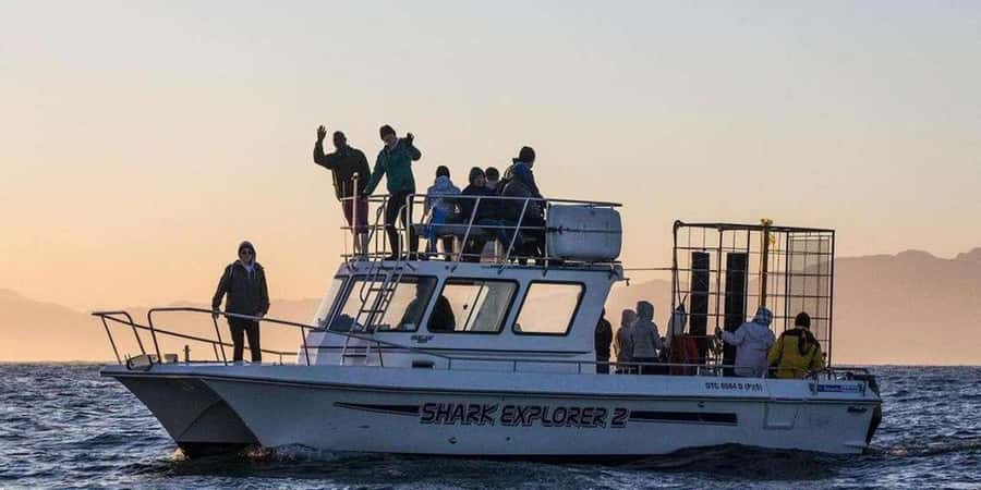 Cape Town: Shark Cage Diving Tour (with Breakfast & Lunch) - Safety first, then the cage