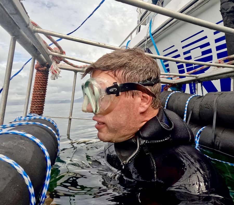 Cape Town: Shark Cage Diving with Snacks and Soft Drinks - Meeting the bronze whaler sharks