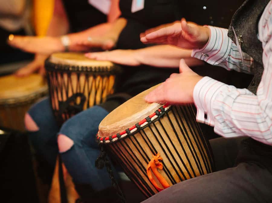 Cape Town: Silvermist Estate Wine Tasting & Drumstruck Show - Key points before you book