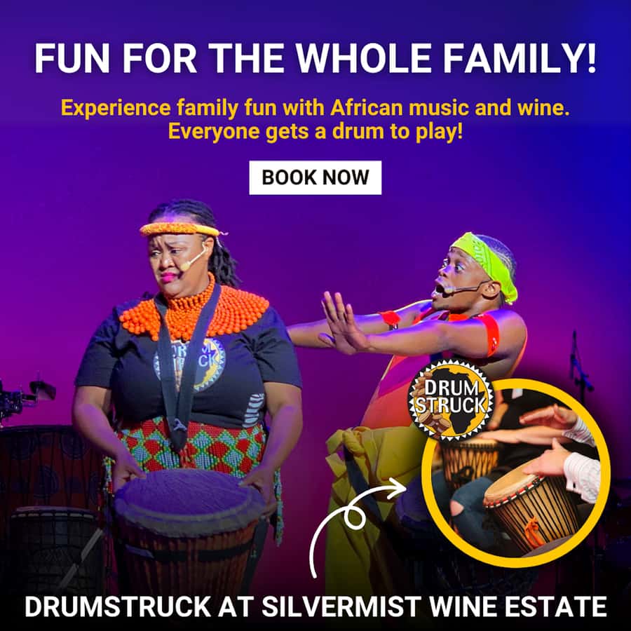 Cape Town: Silvermist Estate Wine Tasting & Drumstruck Show - How the experience works for families and non-drinkers