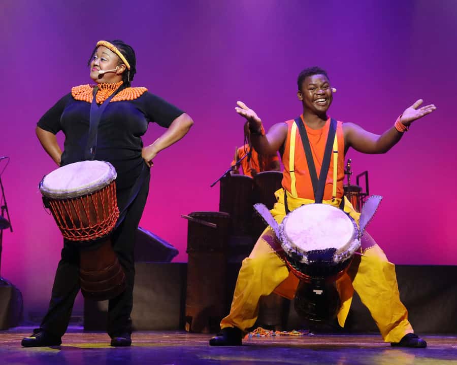Cape Town: Silvermist Estate Wine Tasting & Drumstruck Show - A four-wine tasting led by Gregory Louw