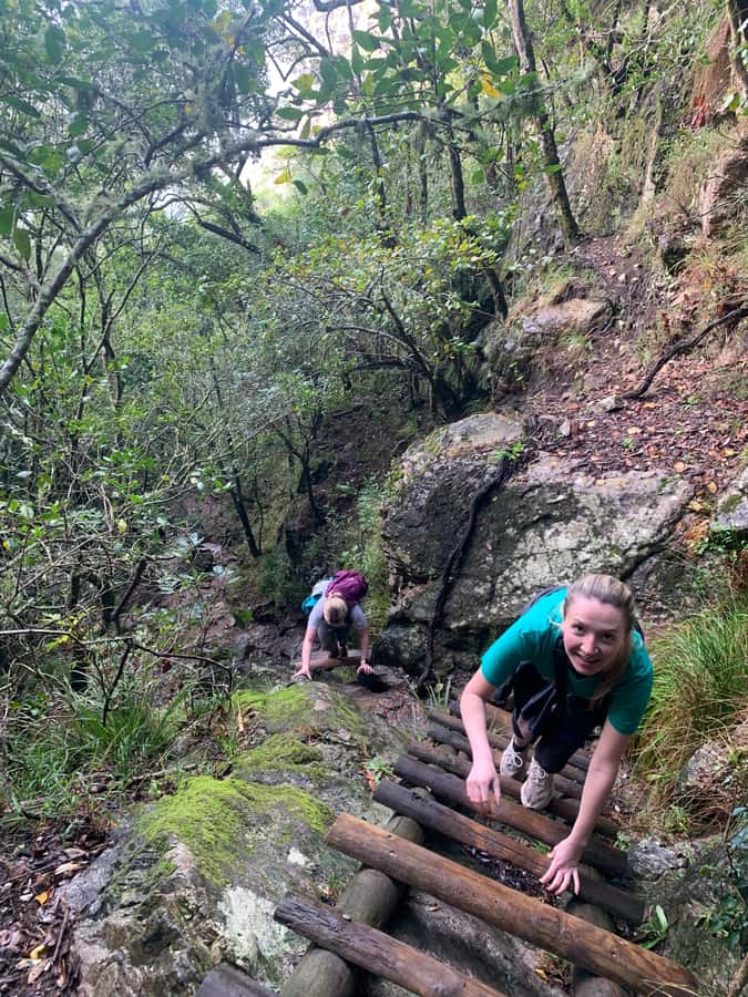Cape Town: Skeleton Gorge and Kirstenbosch Gardens Hike - Why Skeleton Gorge feels different from Table Mountain’s usual routes