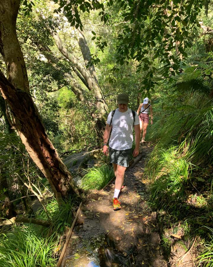 Cape Town: Skeleton Gorge and Kirstenbosch Gardens Hike - The wooded climb through Skeleton Gorge
