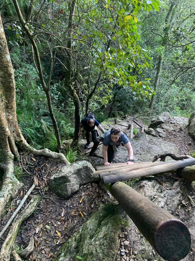 Cape Town: Skeleton Gorge and Kirstenbosch Gardens Hike - Ladders, waterfalls, and the upper gorge