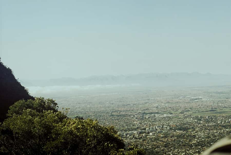 Cape Town: Skeleton Gorge and Kirstenbosch Gardens Hike - The cable car question matters