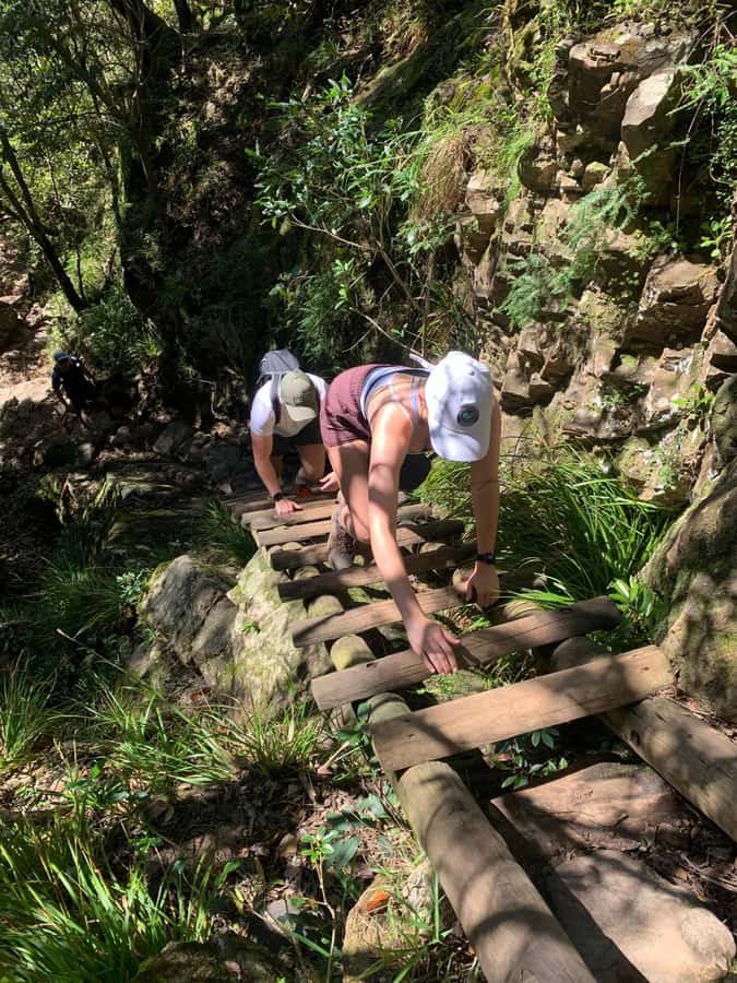 Cape Town: Skeleton Gorge and Kirstenbosch Gardens Hike - What the guide adds to the price