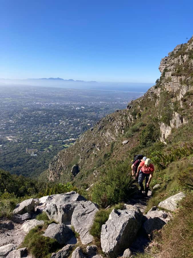 Cape Town: Skeleton Gorge Hike to Table Mountain Summit - Starting at Rycroft Gate in Kirstenbosch