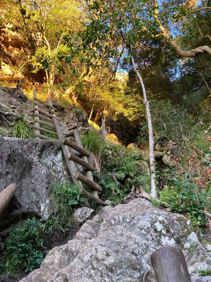 Cape Town: Skeleton Gorge Hike to Table Mountain Summit - The historic dams and the small beach detour