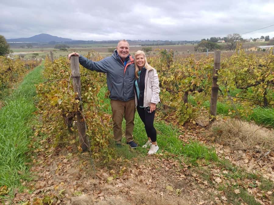 Cape Town: Stellenbosch and Paarl Half-Day Wine Tour - The mountain road to Delaire Graff