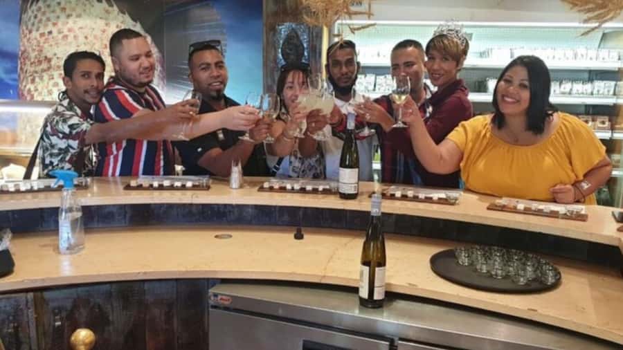 Cape Town: Stellenbosch, Franschhoek and Paarl Wine Day Trip - Why this Cape Winelands route works