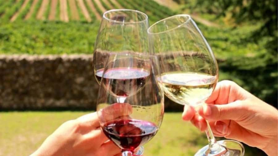 Cape Town: Stellenbosch, Franschhoek and Paarl Wine Day Trip - Stellenbosch wine, biltong, and a taste of local style