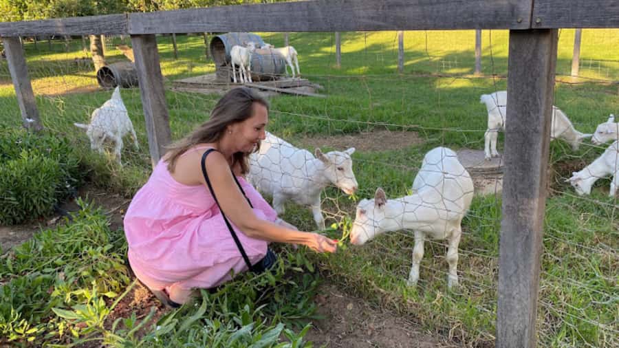 Cape Town: Stellenbosch, Franschhoek and Paarl Wine Day Trip - A walking break on Dorp Street and De Braak Street