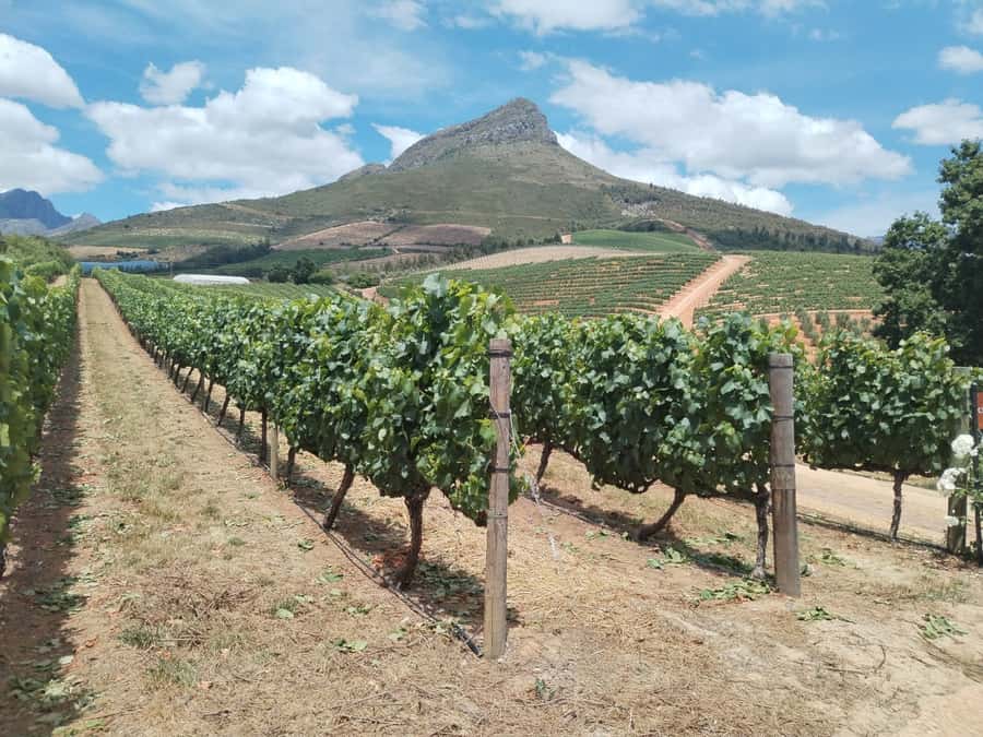 Cape Town: Stellenbosch, Franschhoek, Wine Tasting and Tram - Leaving Cape Town through Langa