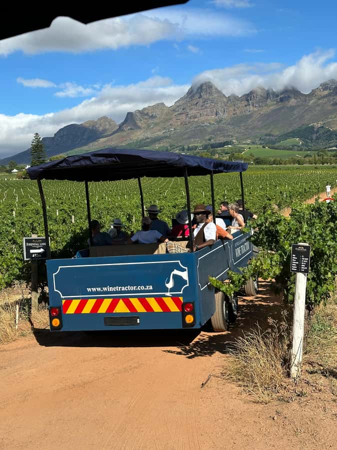 Cape Town: Stellenbosch Hop-On Hop-Off Tractor Transfer - Is $24 good value?