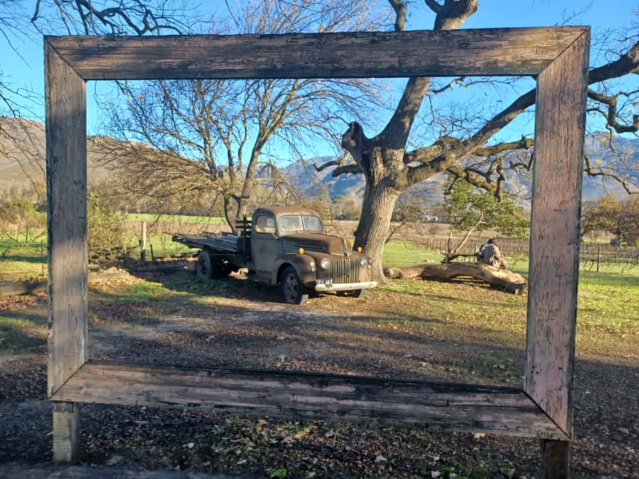 Cape Town: Stellenbosch Wine Half-Day Tour - Marianne, where red wine meets biltong