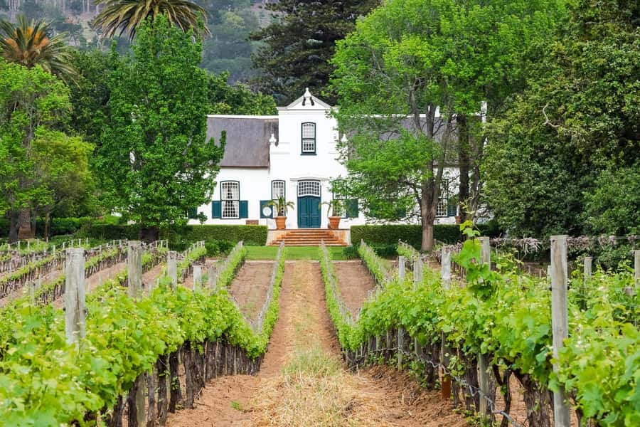 Cape Town: Stellenbosch Wine Half-Day Tour - Who will get the most from this tour