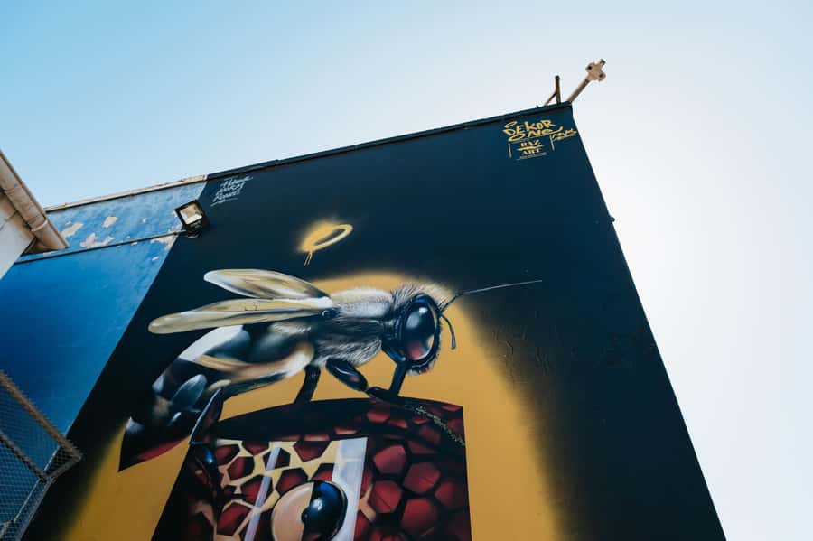 Cape Town: Street Art Walking Tour in Woodstock - Woodstock Brewery and the art of everyday places