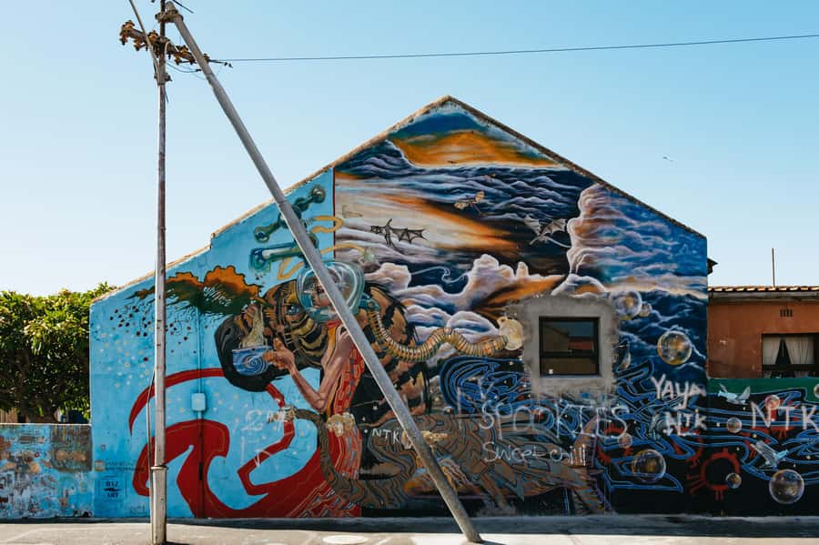 Cape Town: Street Art Walking Tour in Woodstock - What the guides add to the experience