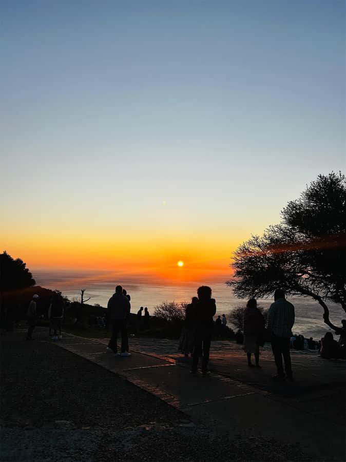 Cape Town: Sunset Bus Tour with Picnic on Signal Hill - The return ride through Cape Town after dark
