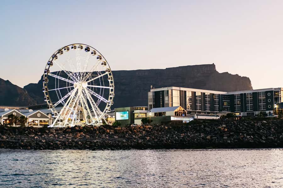 Cape Town: Sunset Catamaran Cruise on Table Bay with Bubbles - Wildlife sightings across Table Bay