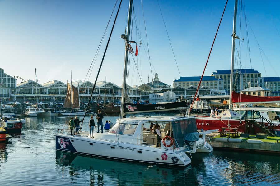 Cape Town: Sunset Champagne Cruise and 3-Course Dinner - What the $78 price gets you