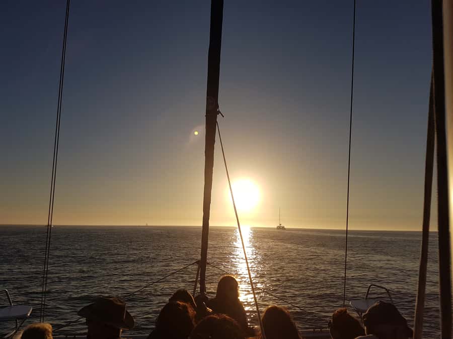 Cape Town: Sunset Cruise from V&A Waterfront with Bubbly - Dolphins, seals, and other Atlantic wildlife