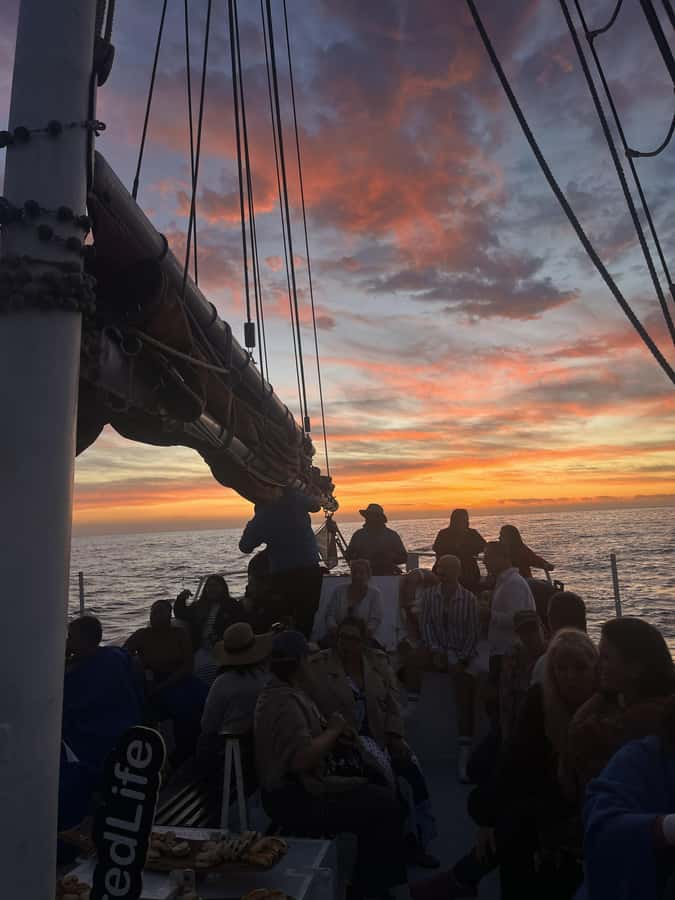 Cape Town: Sunset Cruise from V&A Waterfront with Bubbly - Sparkling wine, music, and the onboard mood