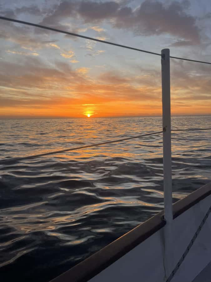 Cape Town: Sunset Cruise from V&A Waterfront with Bubbly - Comfort, motion, and what to wear