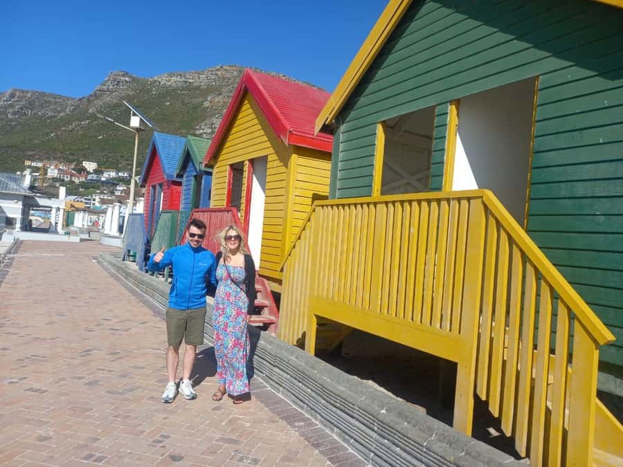 Cape Town: Sunset Penguins & Cape of Good Hope Half-Day Tour - Why this four-hour Cape Town outing works