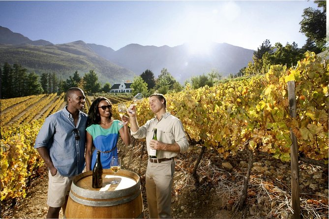 Cape Town Super Saver: Cape Point Tour plus Wine Tasting in Stellenbosch - The quick take