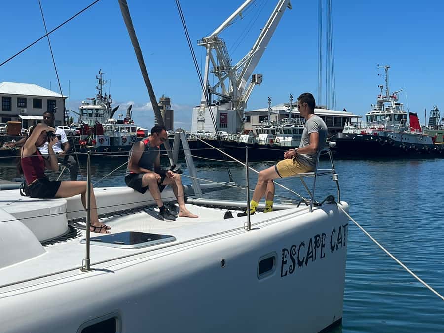 Cape Town: Table Bay Cruise by Catamaran - What the one-hour schedule means