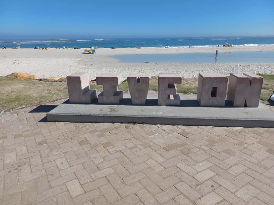 Cape Town: Table Mountain and Penguins Private Guided Tour - Cape of Good Hope and Cape Point