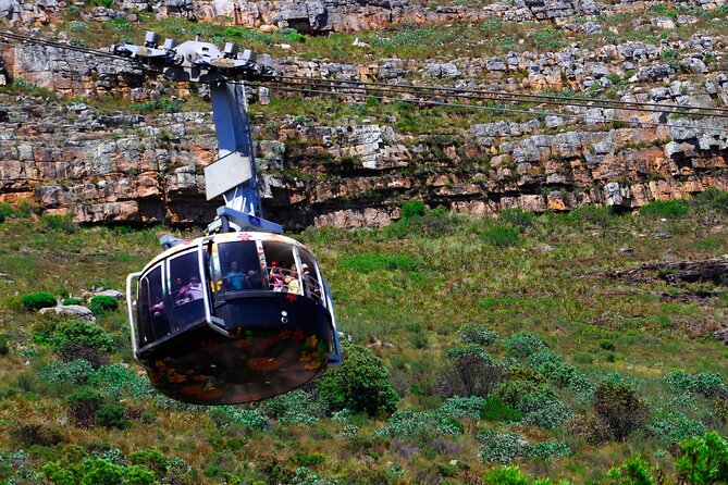 Cape Town Table Mountain and Peninsula Tour - The best reasons to choose this Cape Town day tour
