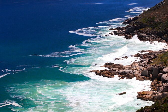 Cape Town Table Mountain and Peninsula Tour - Simon’s Town and Boulders Beach: the most charming wildlife stop