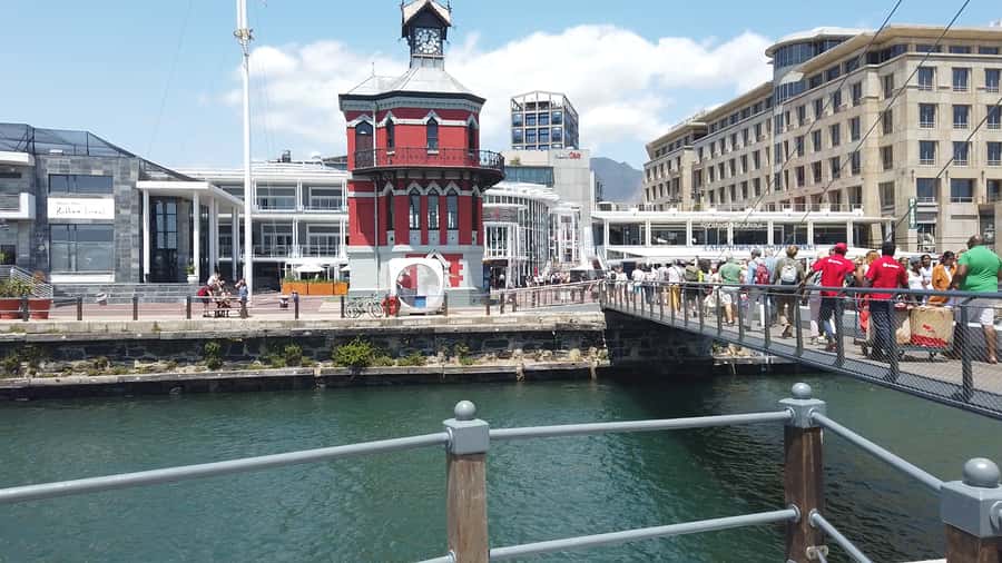 Cape Town: Table Mountain and Robben Island Tour - Who should book this day?