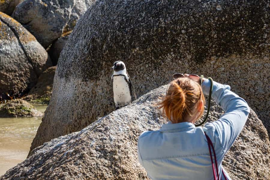 Cape Town: Table Mountain & Cape of Good Hope Full-Day Tour - Why this Cape Peninsula day works so well