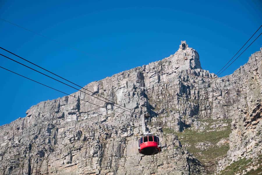 Cape Town: Table Mountain, Cape Point, and Penguins Tour - Why this Cape Town day trip works