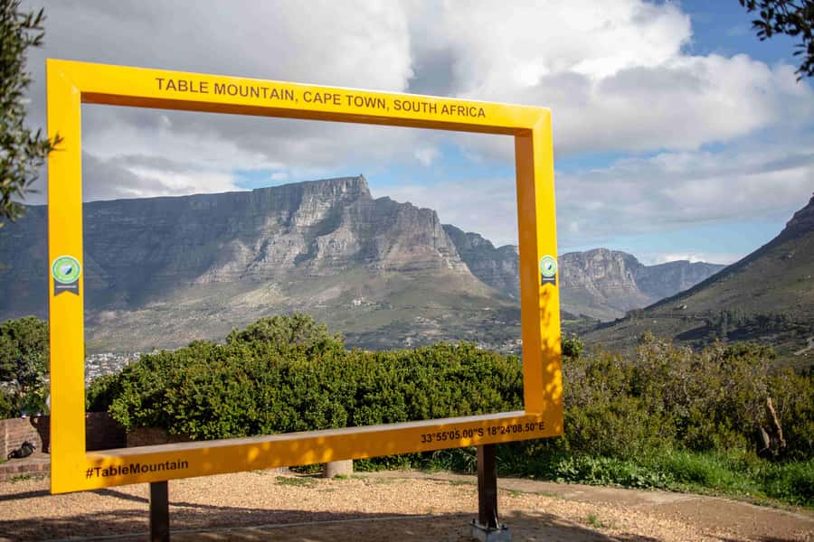 Cape Town: Table Mountain, Cape Point, and Penguins Tour - Boulders Beach brings the penguins close