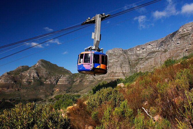 Cape Town Table Mountain Cape Point Penguins Full-Day Private Tour - A practical start from central Cape Town