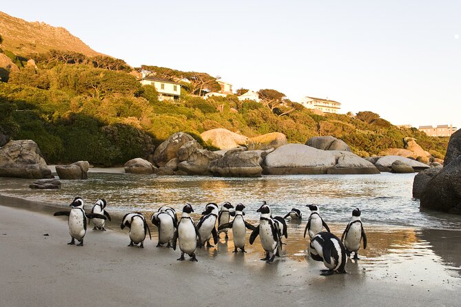 Cape Town Table Mountain Cape Point Penguins Full-Day Private Tour - Atlantic coast views from Camps Bay