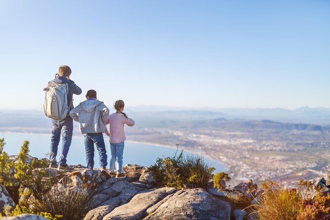 Cape Town Table Mountain Cape Point Penguins Full-Day Private Tour - Table Mountain and the cableway decision