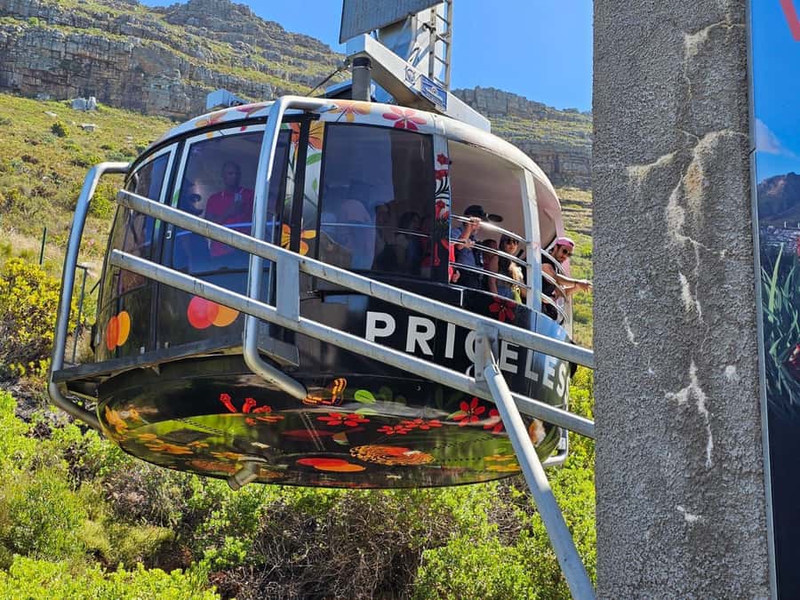Cape Town: Table Mountain, Cape Point, Penguins Group Tour - Table Mountain delivers the day’s first big view