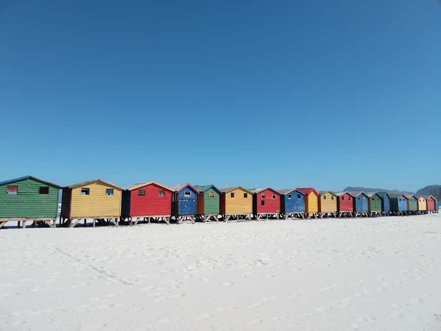 Cape Town: Table Mountain, Cape Point, Penguins Group Tour - Boulders Beach brings you close to African penguins